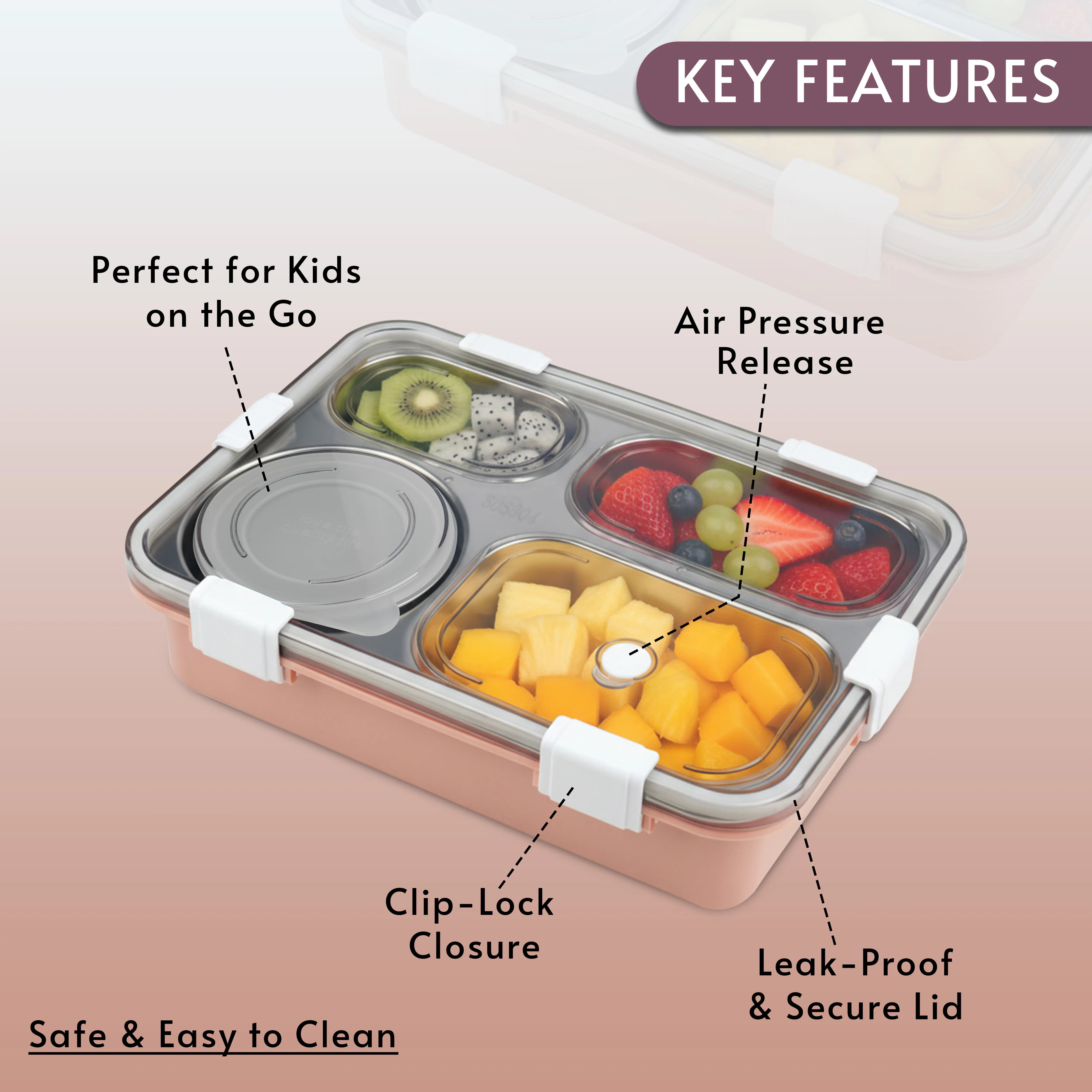 Delish Mate Premium Bento Lunch Box